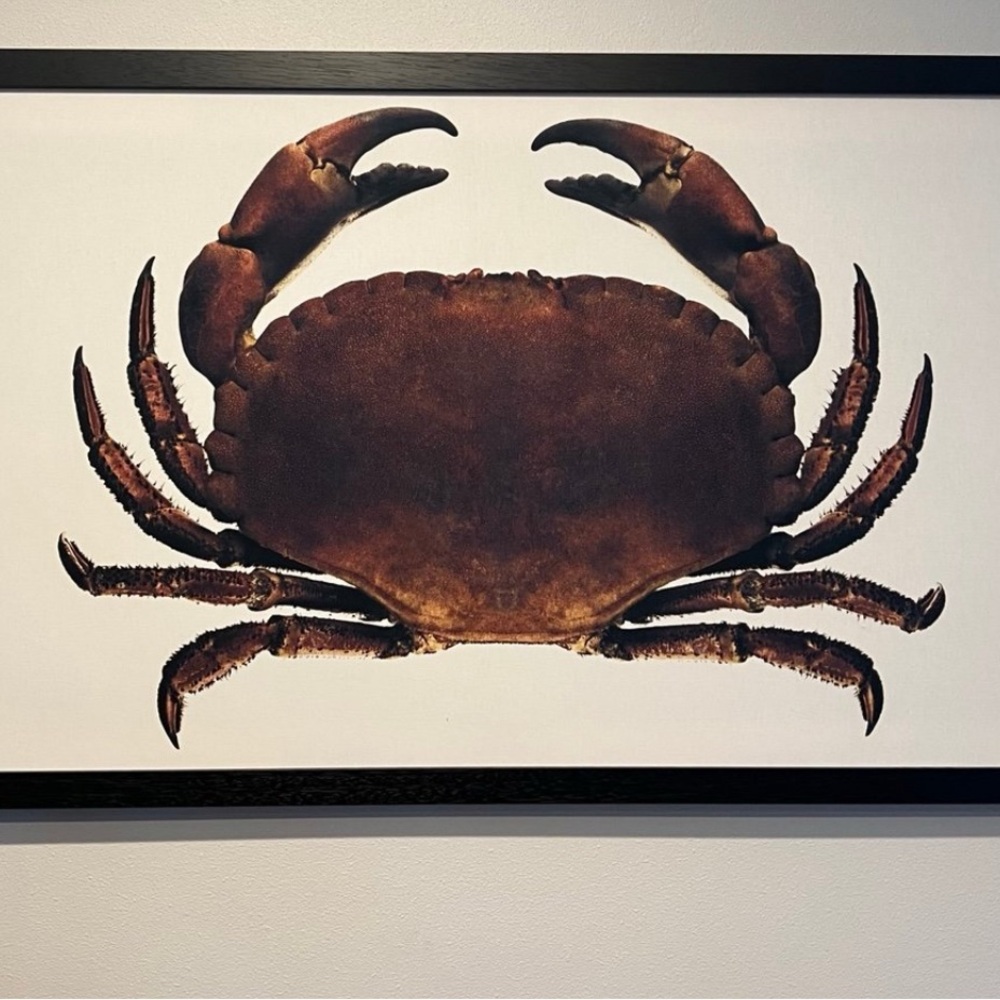 Brown Crab Art Wall Decor